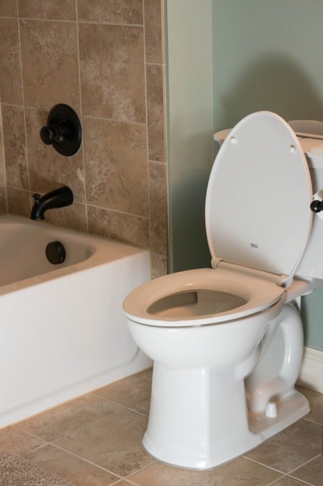 American Standard Toilet00524