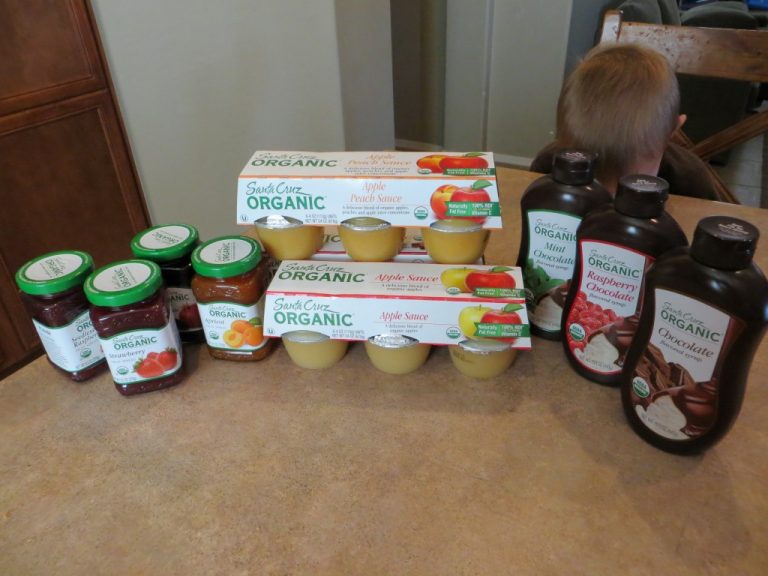 Santa Cruz Organic Juices and Back to School Goodies Review