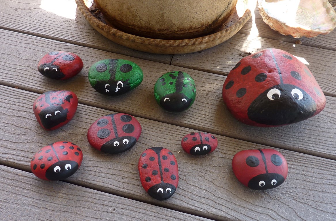 ladybug rocks 008