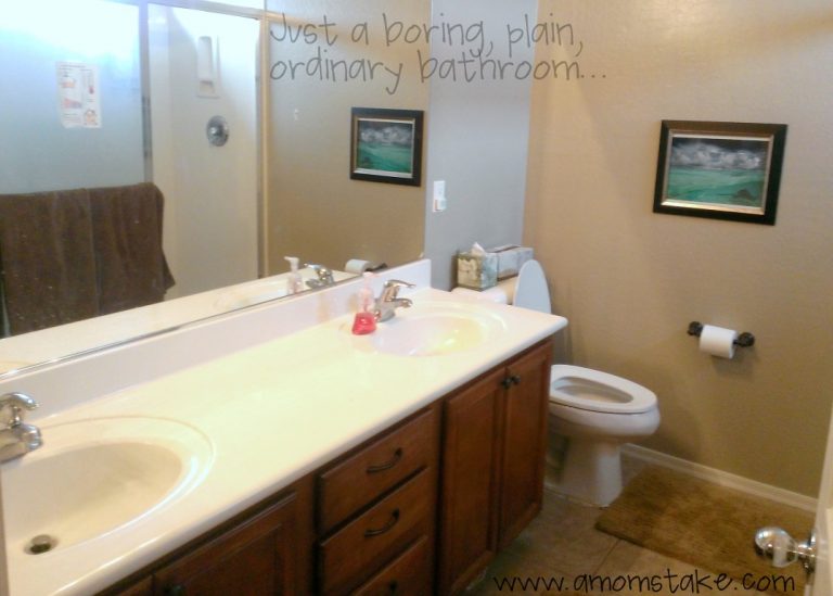 Inspiration for a Bathroom Makeover