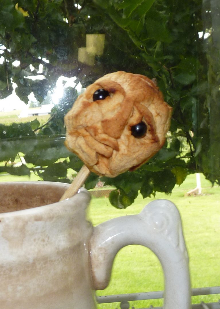 How to carve Dried Apple Heads