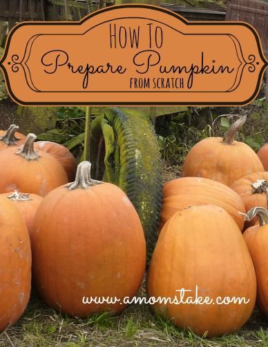 "pumpkin pie filling from scratch", pumpkin puree, canned pumpkin from scratch