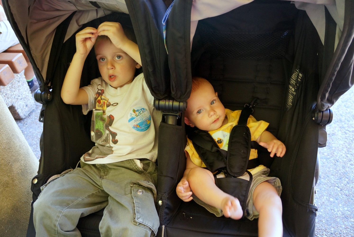 Simple stroller deals rental reviews