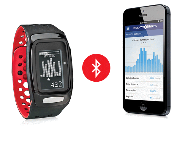 24 Hour Calorie Counter with SYNC Burn