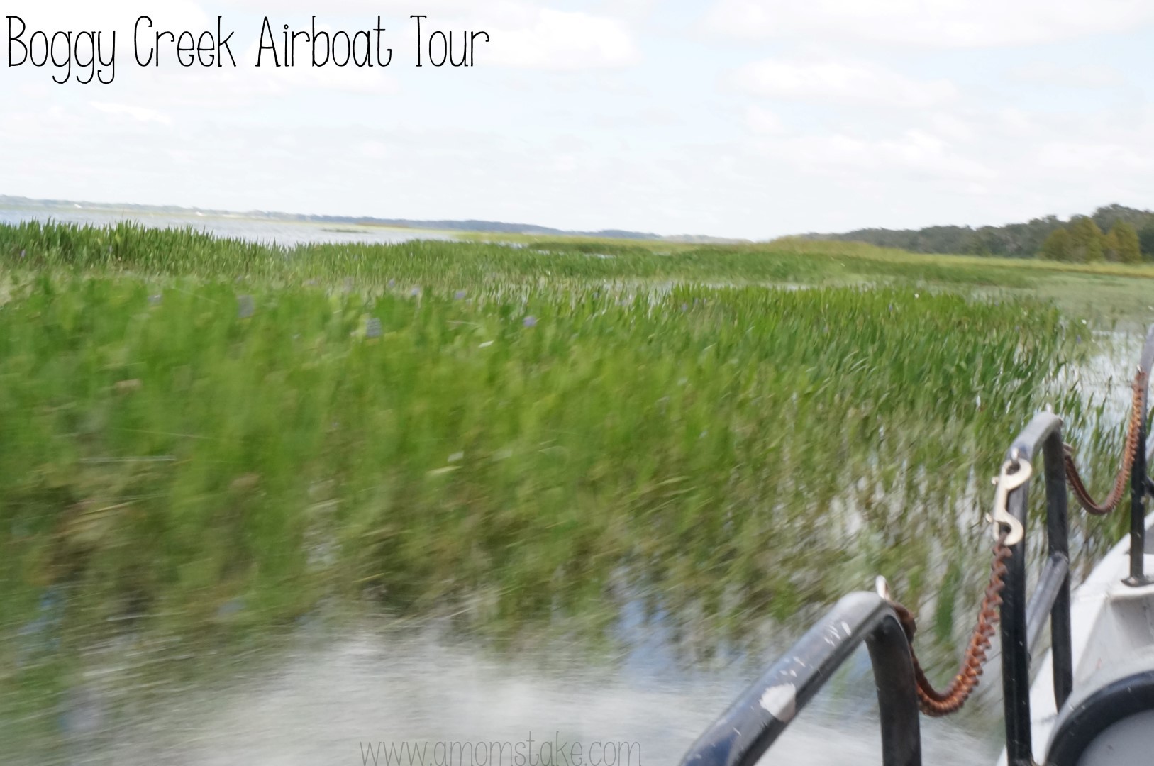 Boggy Creek Airboat Tour