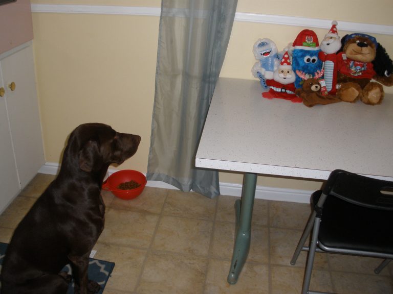 Celebrate the Holidays with PetSmart