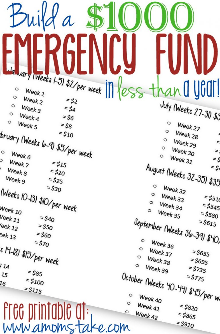 Build a $1000 Emergency Fund in (less than) a year!