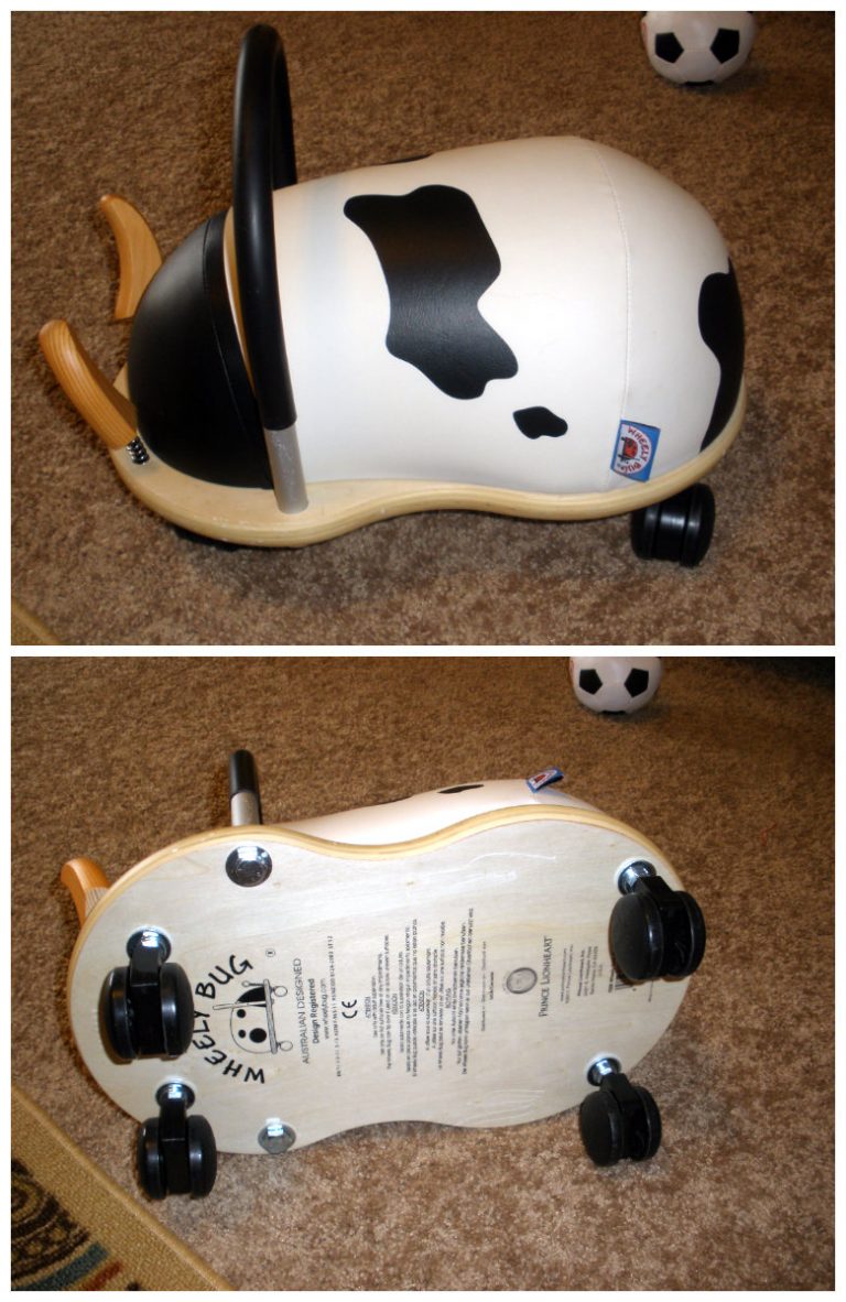 Unique Toddler Toy – Wheely Bug