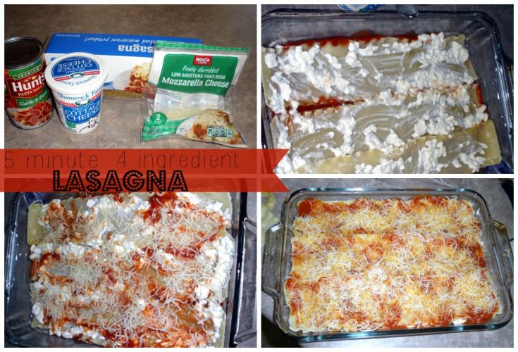 5 Minute 4 Ingredient Lazy Woman's Lasagna