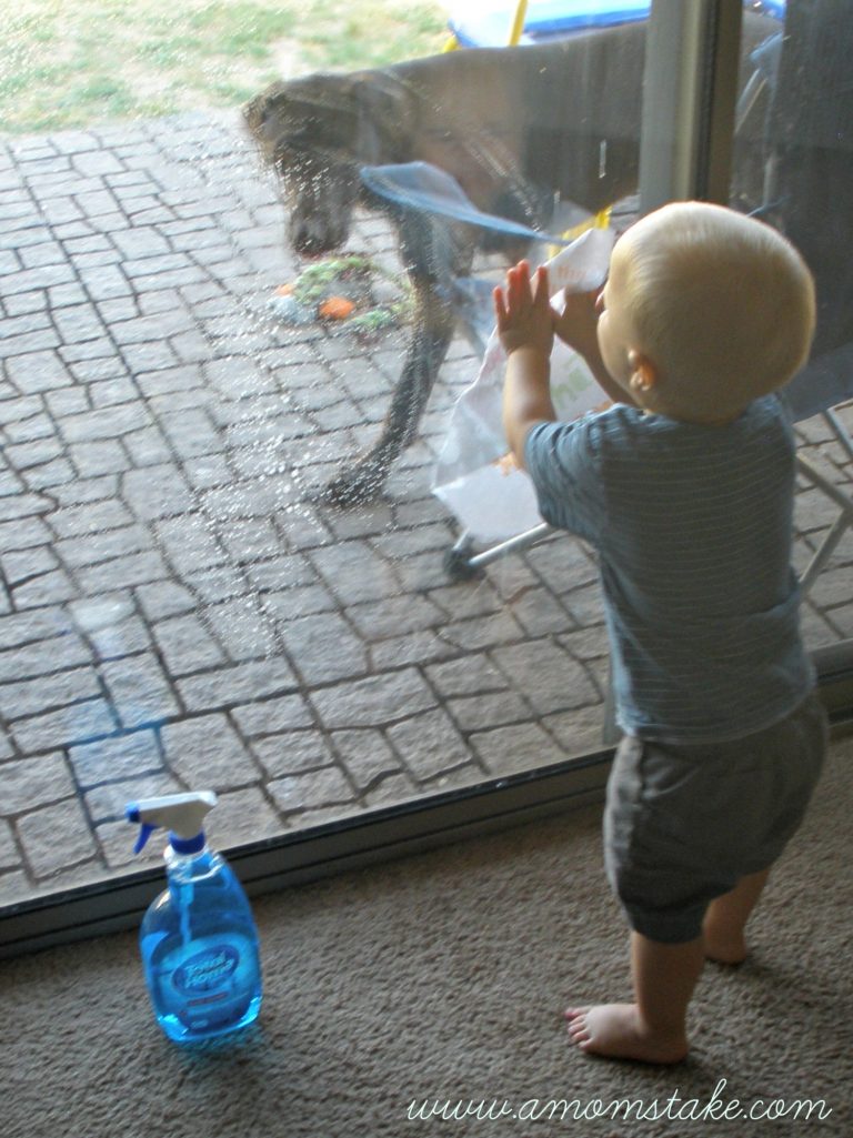 Cleaning Made Easy with CVS/pharmacy
