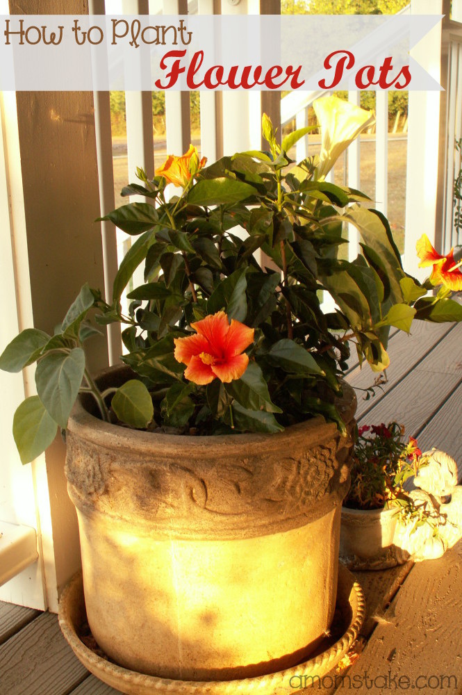 How to Plant in Flower Pots