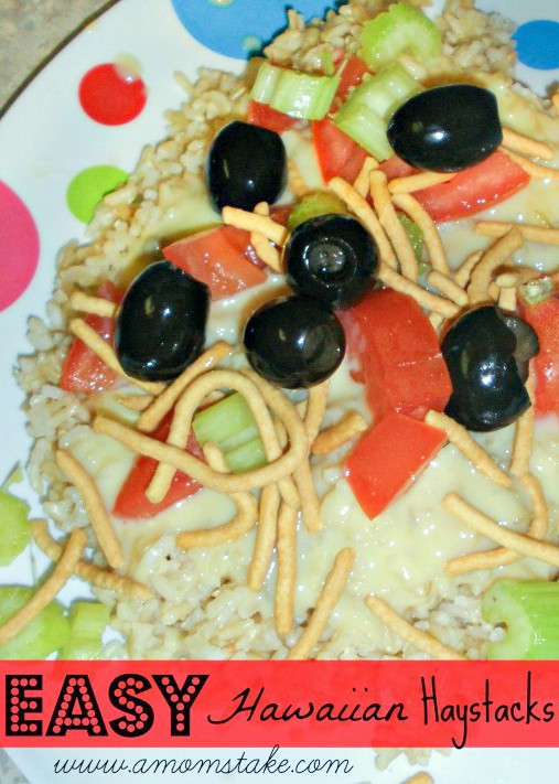 Easy Hawaiian Haystacks Recipe 18 Easy-Hawaiian-Haystacks