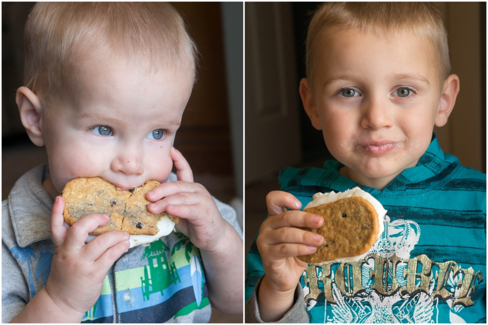 Greek Yogurt Biscuits