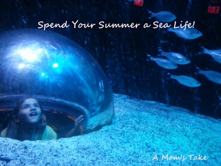 Spend Your Summer at Sea Life Aquarium!