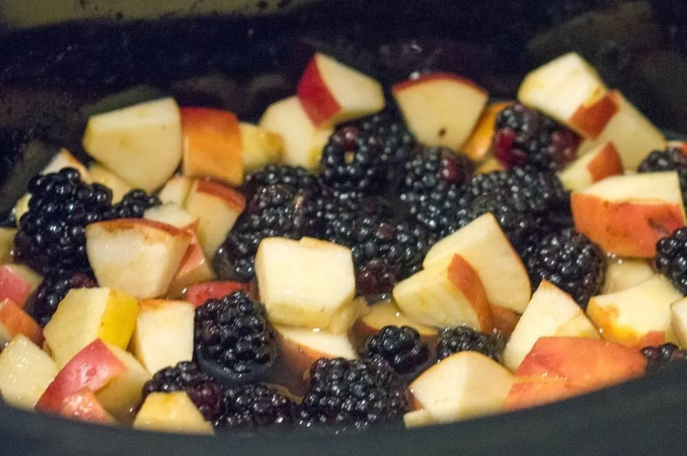 Crock Pot Fruit Crisp Recipe