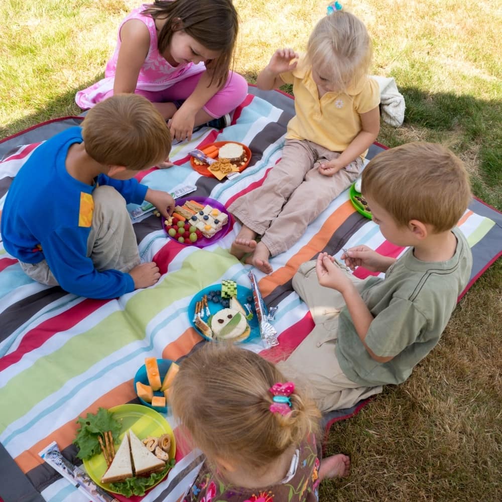 GoGurt Summer Lunchbox