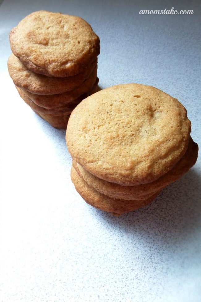 Christmas Cookies ~ Holiday Ginger Cookies christmas cookies in july 2