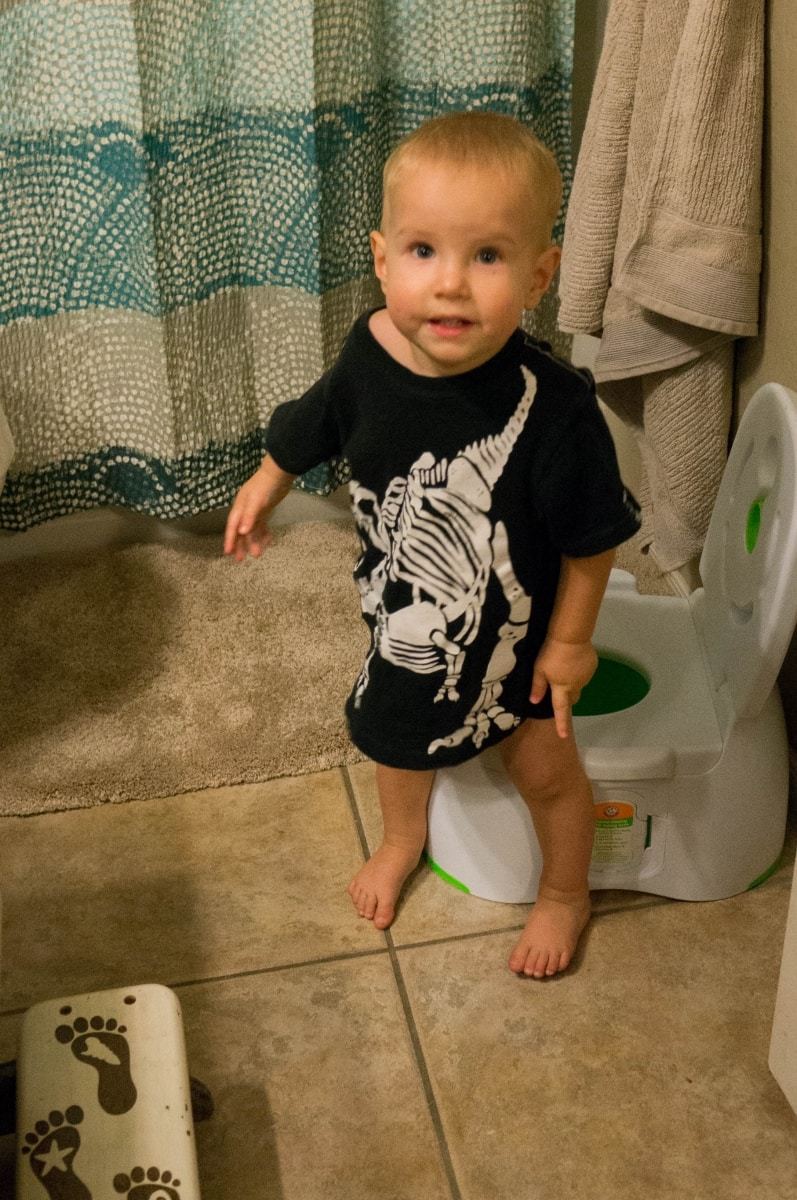 Beginners Guide to Potty Training