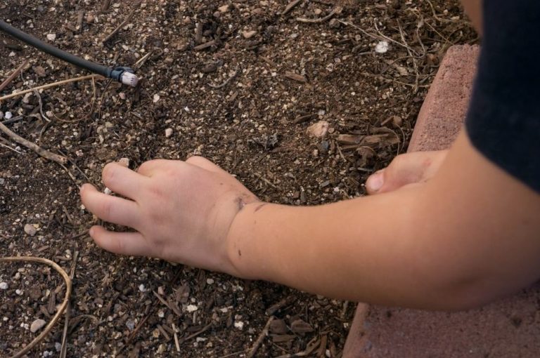 Gardening is a HappiMess