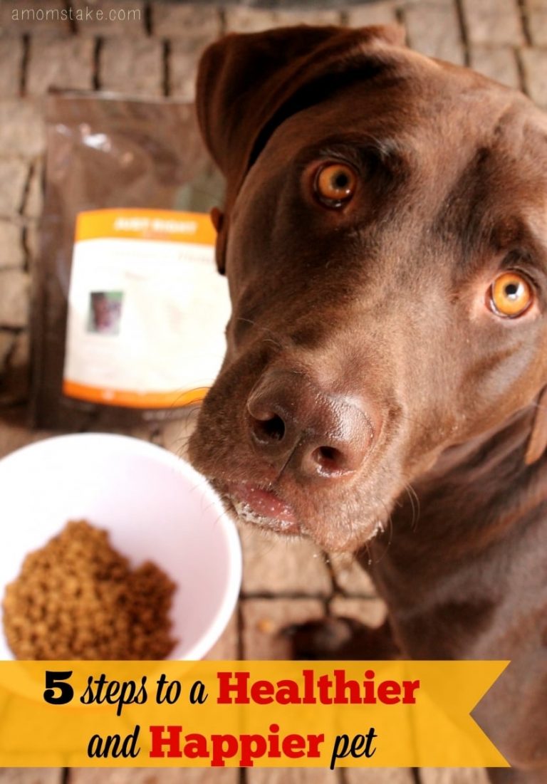 5 Steps to a Healthier and Happier Pet
