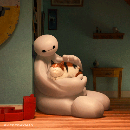 Baymax with cat