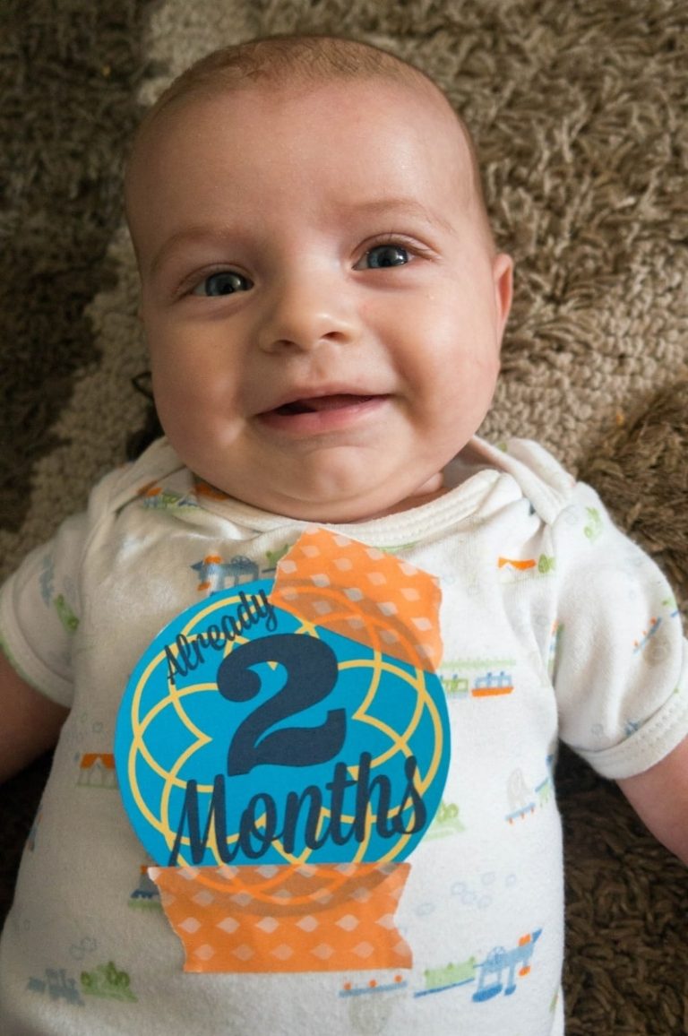 Milestone Months Printable Badge