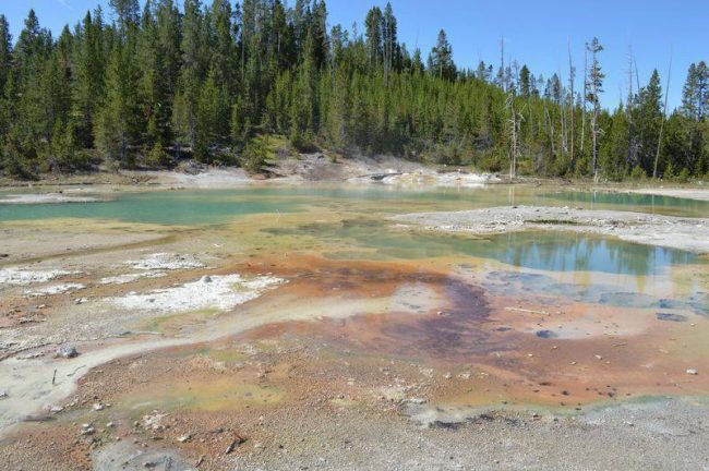 yellowstone geyser