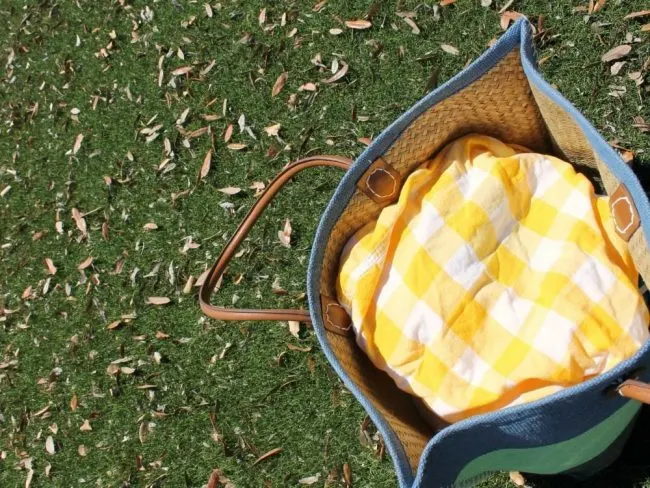 summer picnic 