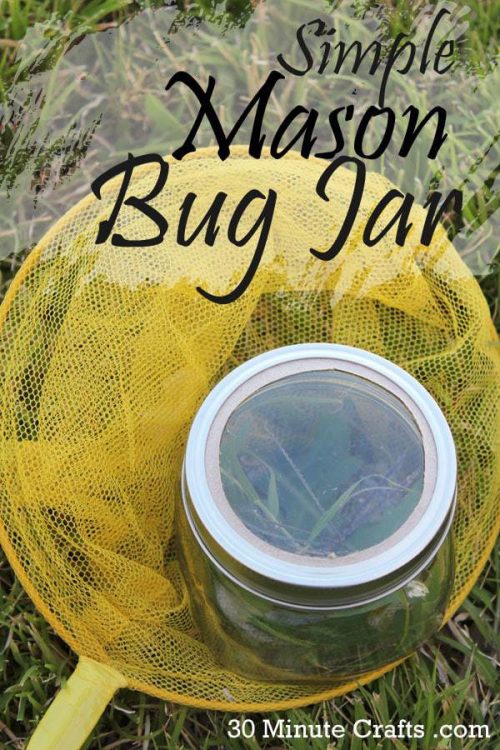 Simple-Mason-Bug-Jar
