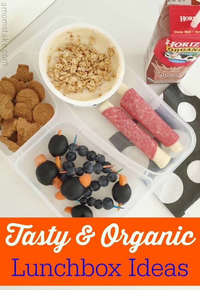 Tasty and Organic Lunchbox Ideas