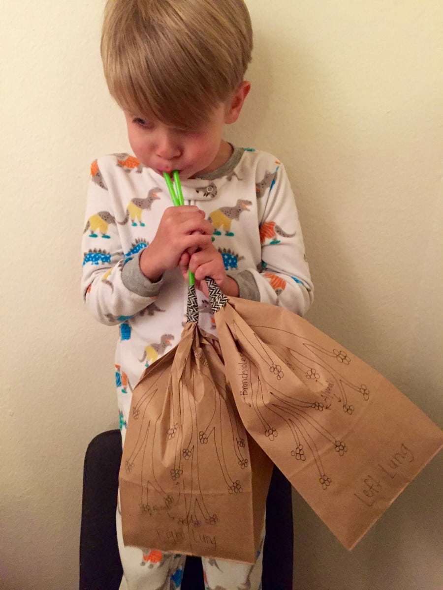 Kid Friendly Science Paper Bag Lungs A Mom's Take