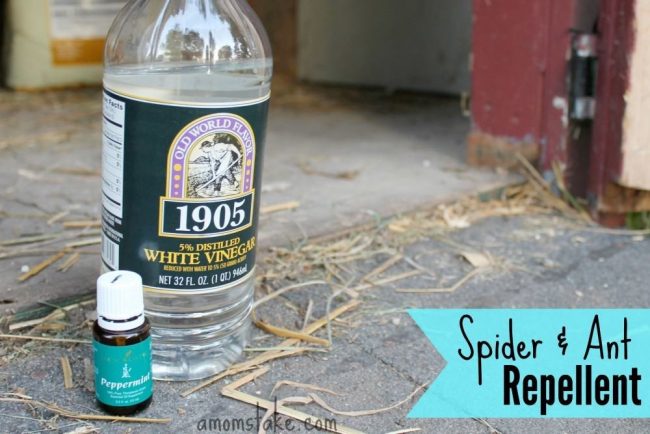 Spider & Ant Repellent