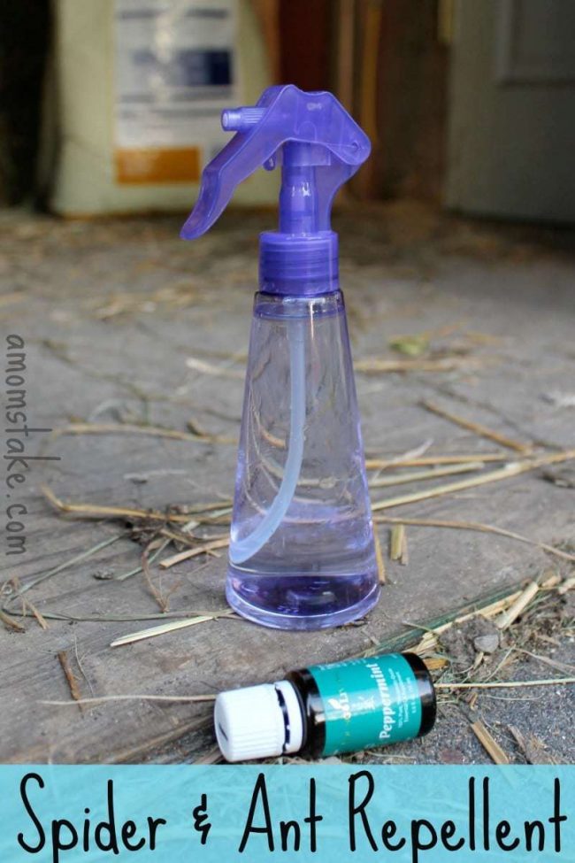 Spider & Ant Repellent