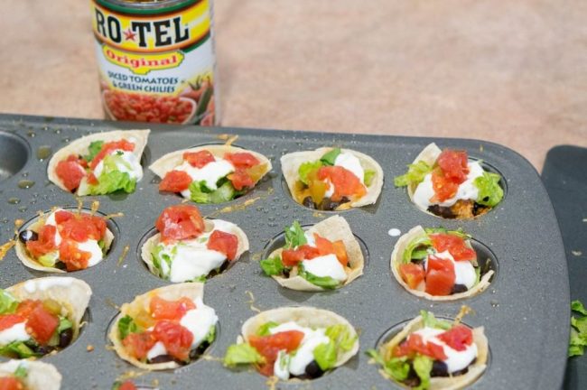 Easy Taco Bites Recipe