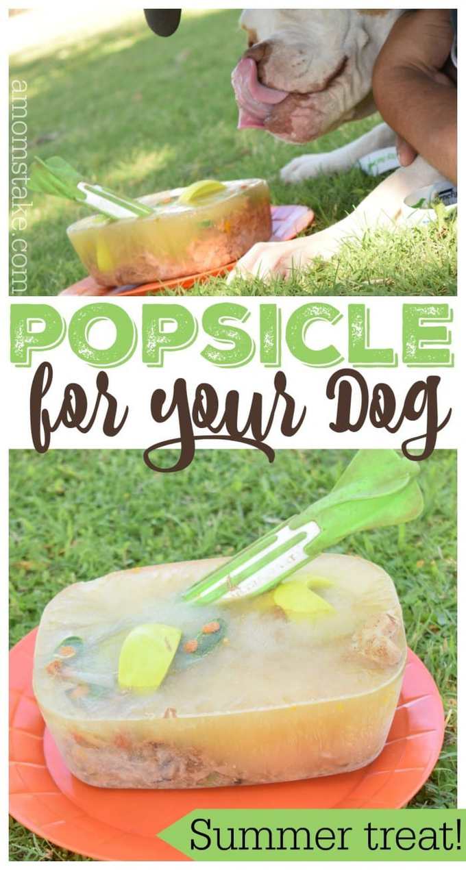 Simple and oh so easy summer treats for your pets! Come see what we added to our DIY Doggy Popsicles frozen treat recipe. This popsicle is such a great way to help your dog stay cool this summer!