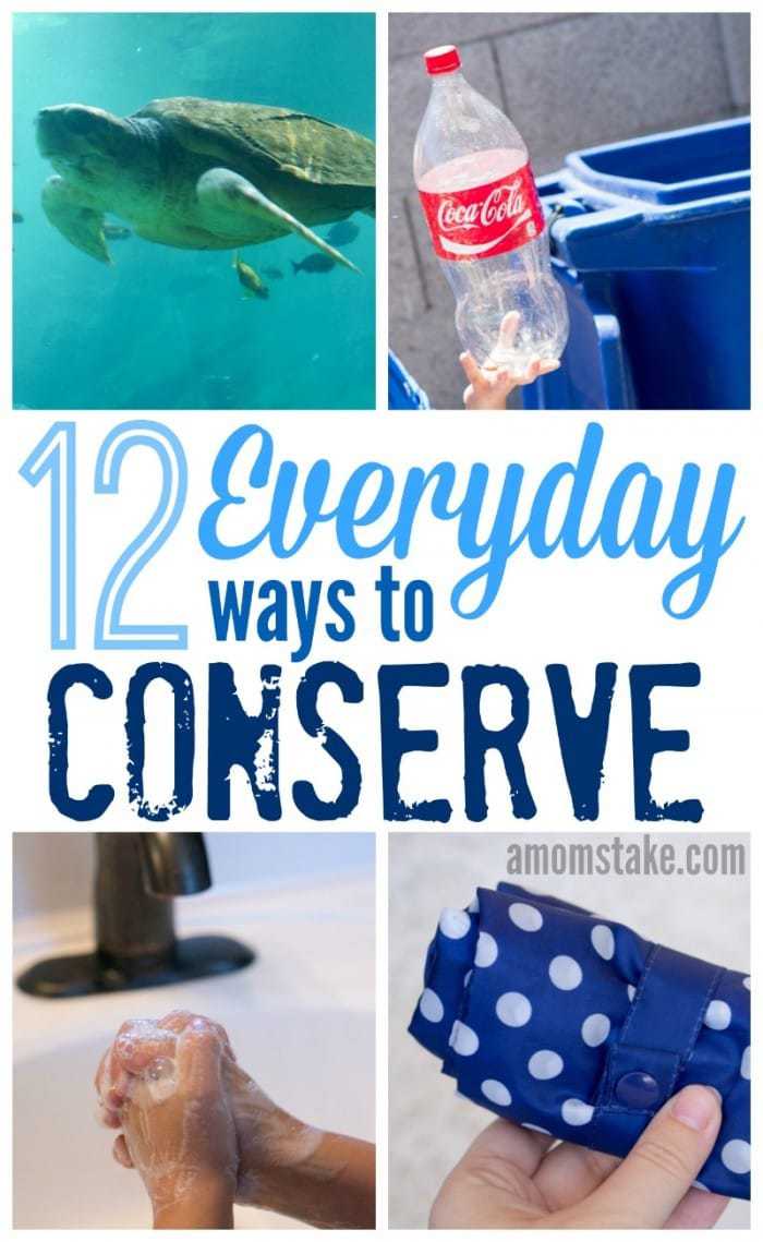 12 Everyday Ways Your Family Can Help Conservation