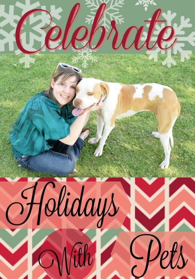 Celebrate and include your family pet in all of your holiday fun this Christmas.