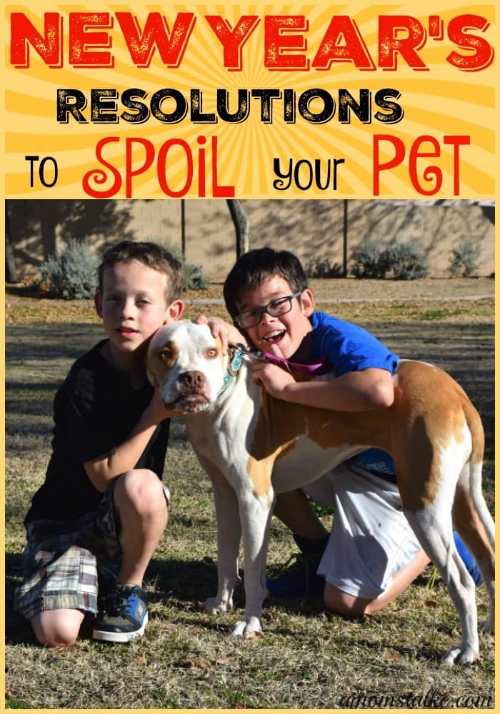 10 New Year’s Resolutions to Spoil Your Pet