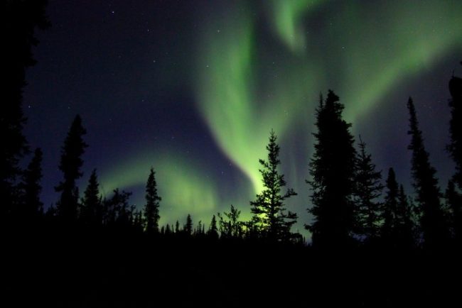 51 Family Destinations: The Best Things to Do in Each State alaska northern lights