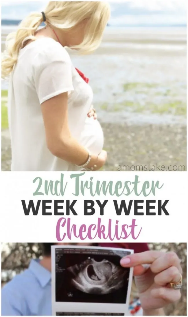 Pregnancy Checklist: Your 1st Trimester 6 Pregnancy Checklist: Your 1st Trimester 2nd Trimester Pregnancy Checklist
