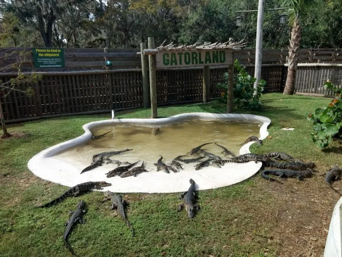 7 Day Orlando Family Vacation Itinerary Orlando 112610849