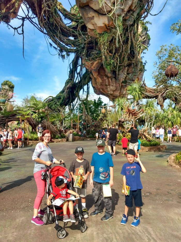 7 Day Orlando Family Vacation Itinerary Orlando 8