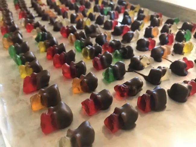 Chocolate Covered Cinnamon Bears cinnamon bears1