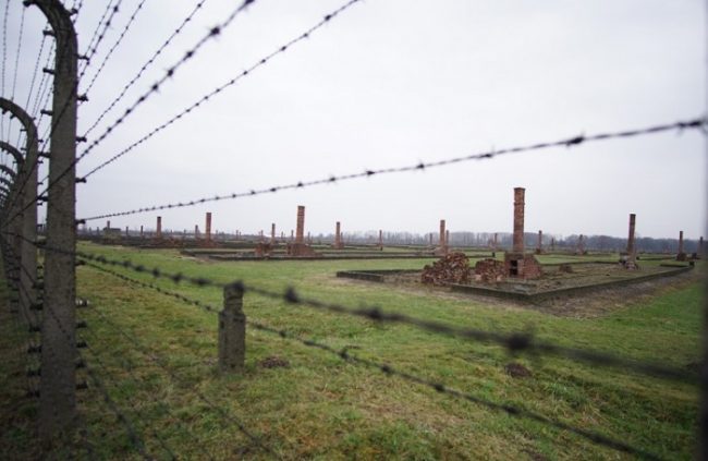 Budapest to Auschwitz: Eastern Europe Road Trip auschwitz brikenau grounds