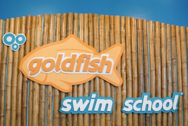 5 Reasons to Start Swim Lessons for Kids Today! Goldfish 04836