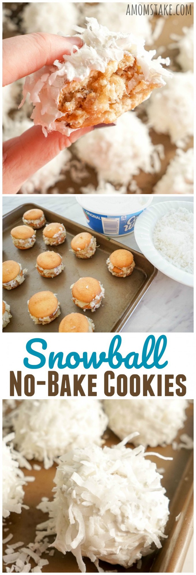 Easy No-Bake Snowball Cookies Recipe No Bake Snowball Cookies