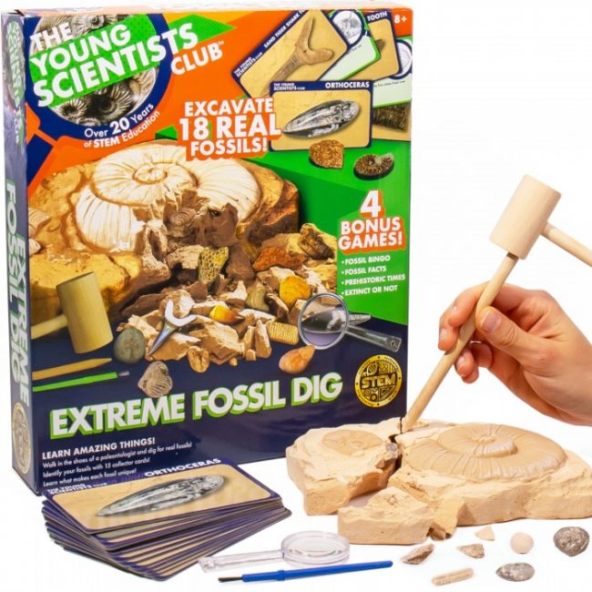 20 Summer Finds & Favorites for Families! The Young Scientists Club Extreme Fossil Dig with Components