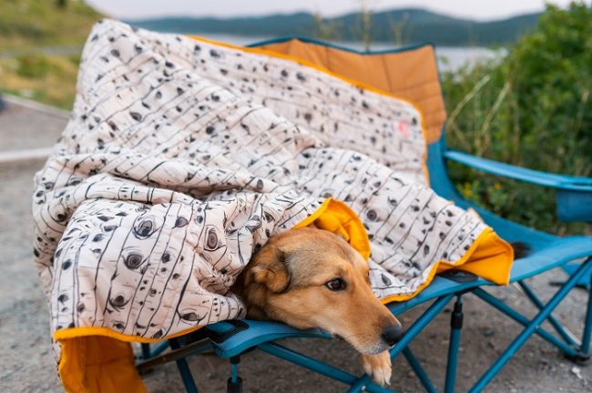 20 Summer Finds & Favorites for Families! bestie blanket