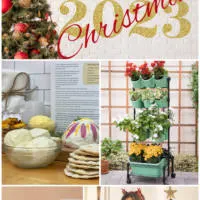 Christmas time is here! Check out these great gift ideas for everyone on your list.